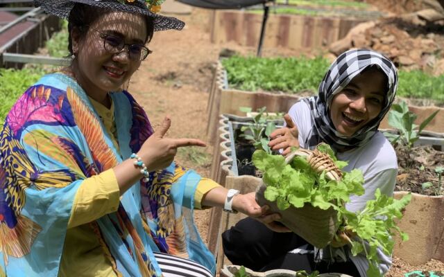 Kohjum Sea Beach Resort