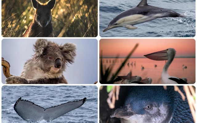 Unit 2-146 Thompson Ave Cowes