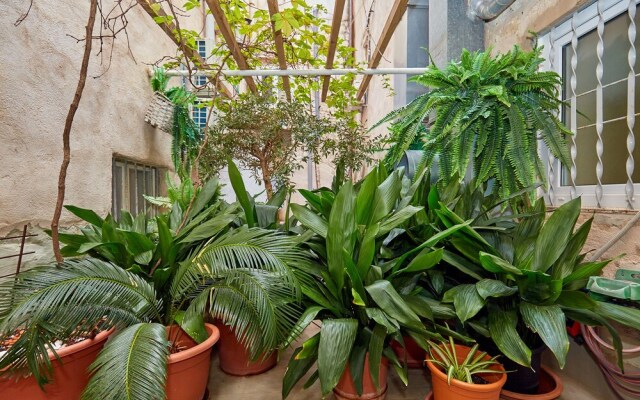 Hedera Estate Hedera A22