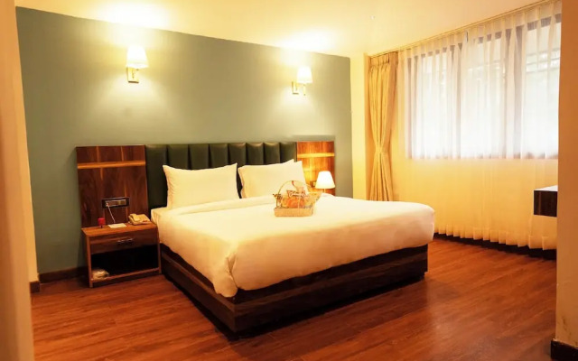 Cilantro Unwind Delisso Abode Pelling