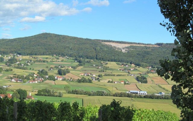 Appartement Weingut Schoberhof