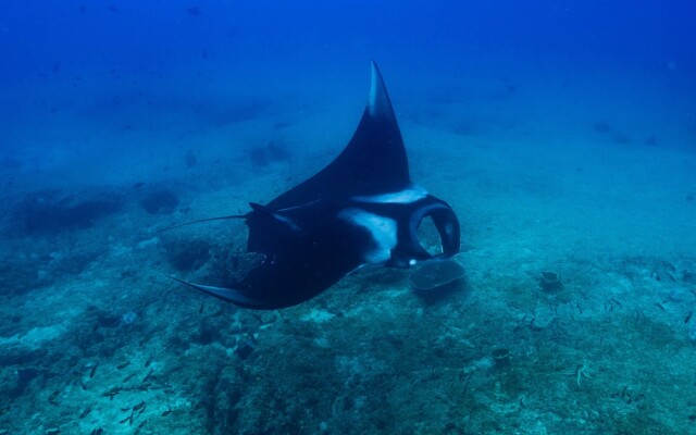 Liquid Dive Adventures