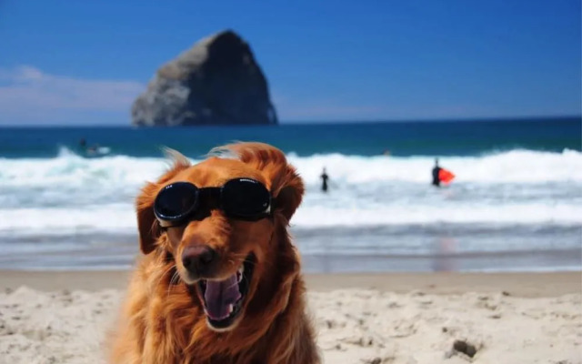 Inn at Cape Kiwanda