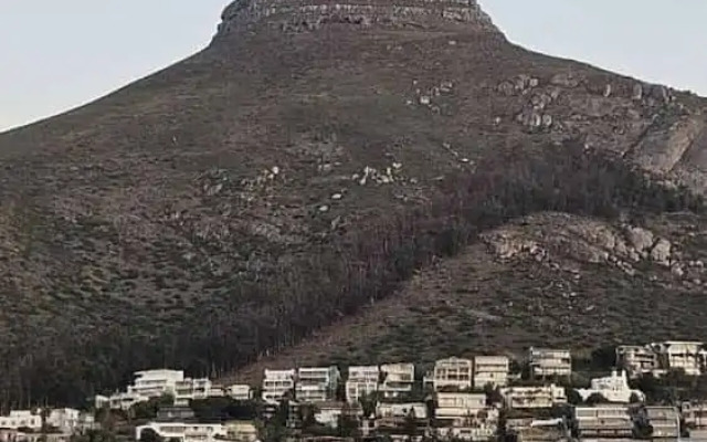 Luxury Living in Sleek Studio