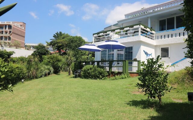 White Whale Guesthouse - Hostel
