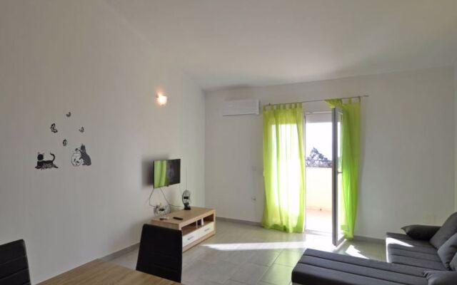 Apartment Ivan Maslenica 41270