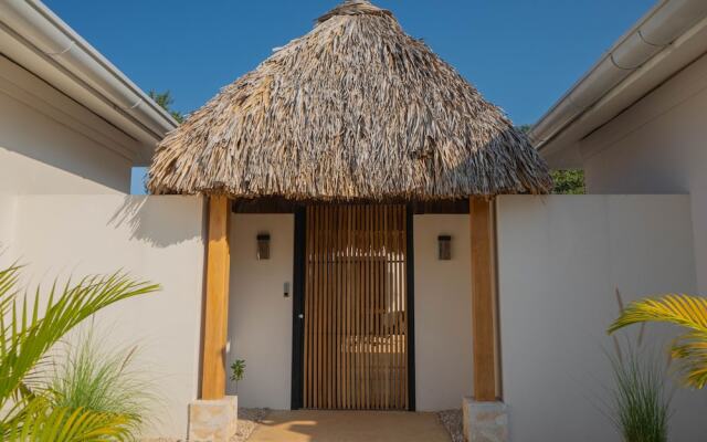 Villas VR Beachwalk Avellanas