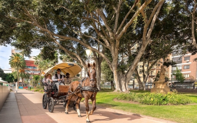 Le Petit Palü Las Palmas