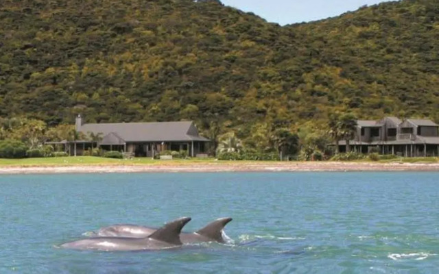 Pawhaoa Bay Villas