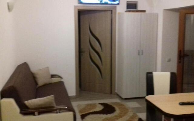 Apartament central V&P