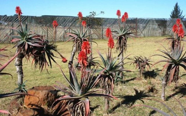 African Flair Country Lodge