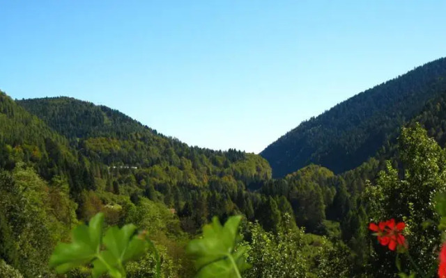 Holiday home Maso Mersi