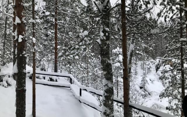 Медвежий угол