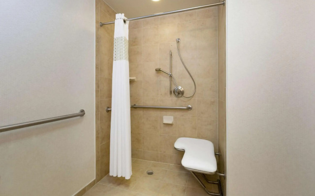 Hampton Inn Houston-Near The Galleria