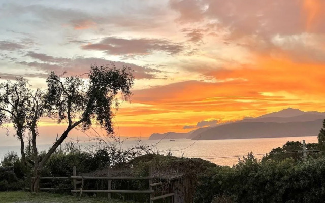 Les Bouganvilles by SolturElba