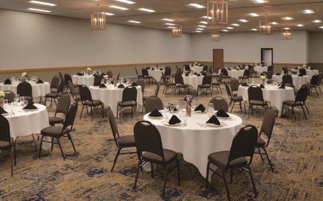 Spark by Hilton Ames