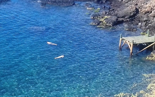 Villa Concetta Suites & Studios