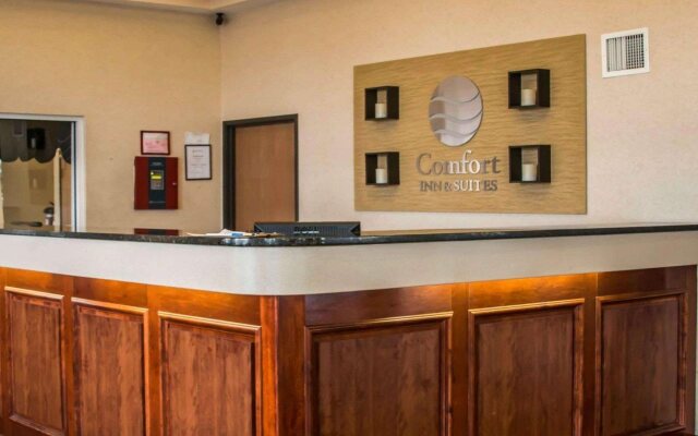 Comfort Inn & Suites Diamondale – Lansing