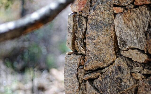 Les Oliviers de Palombaggia