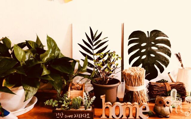 Eclasse Gangnam - Hostel