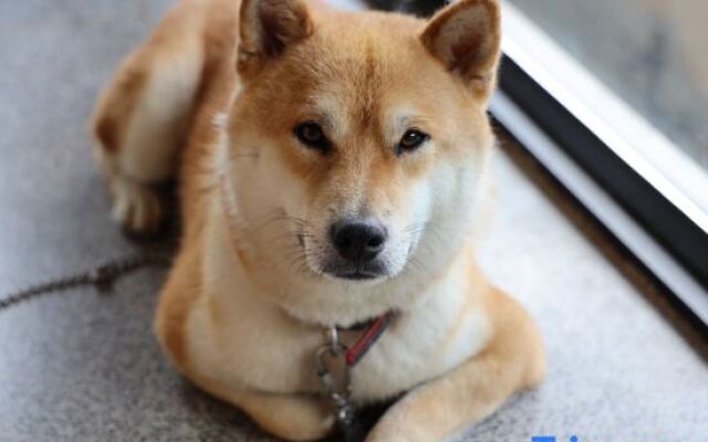 Wonderland Holiday Hotel