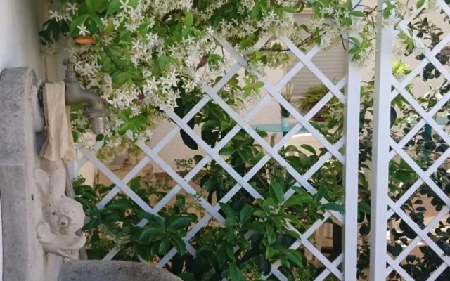 B&B Stella dei Campi