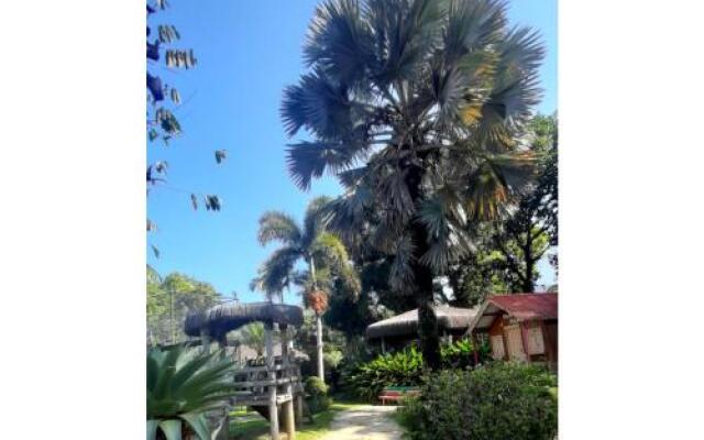 Sítio Nada é Por Acaso