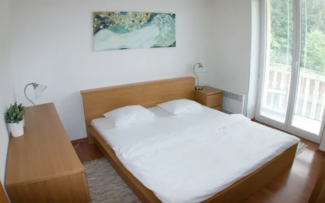 Apartmán Poustevník