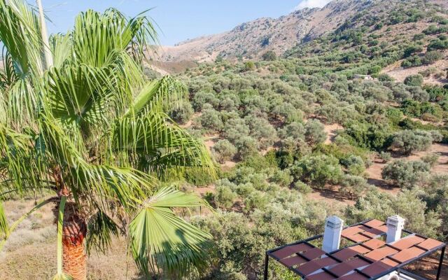 Sound Of The Mountain Chania