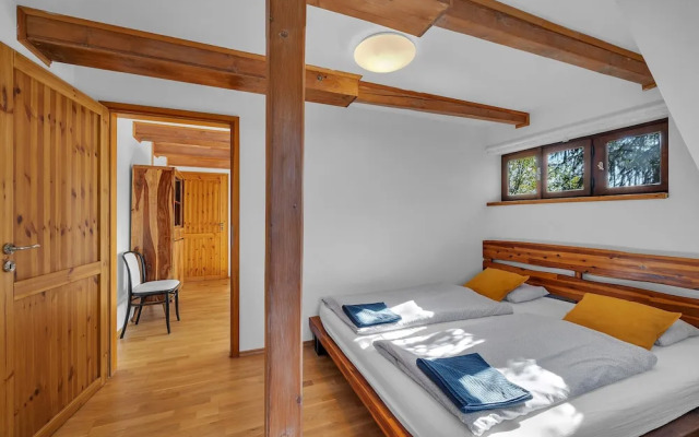 Villa in Dolni Branna With Sauna