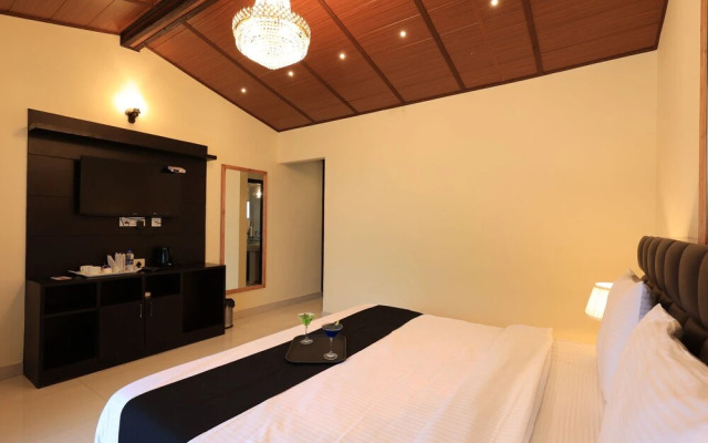 Bimbos Club Blusalz Collection Bhowali