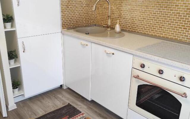 Appartements F3 Design Colmar+parking free