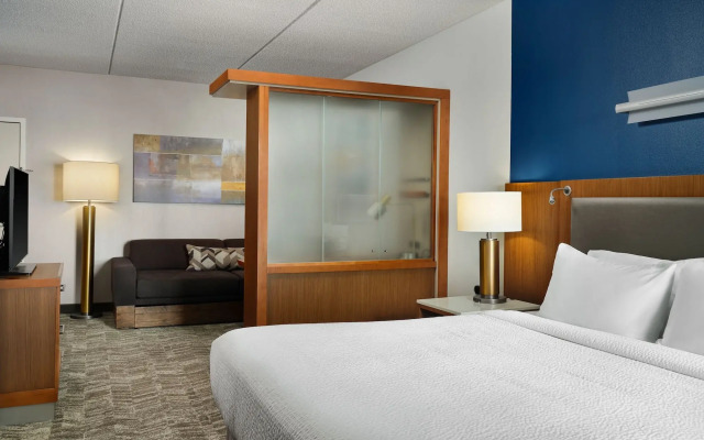 Springhill Suites by Marriott Pittsburgh Mt. Lebanon