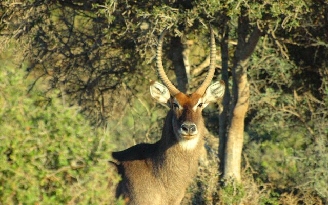 Valley Bushveld Country Lodge