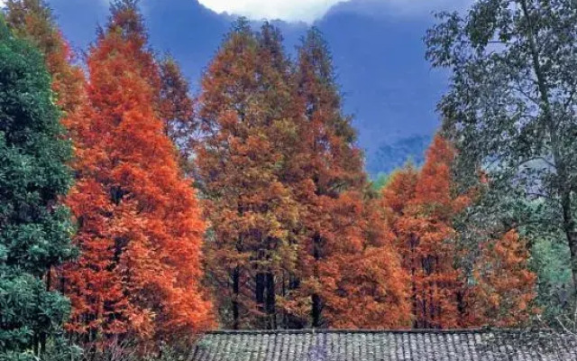 Tianfu Honggu · Gengdu Taoyuan Resort