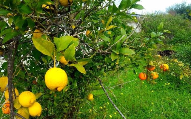 Archimede Vacanze - Bed & Breakfast