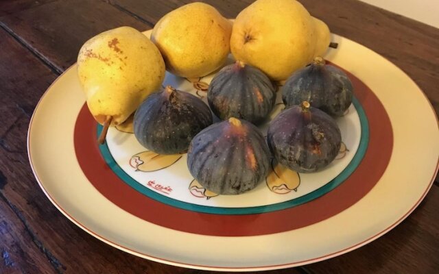 Couleurs de Camargue Chambres d'Hôtes