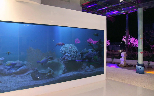 Clownfish Resort