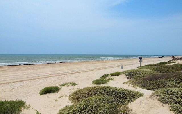 Happy Starfish LCV36