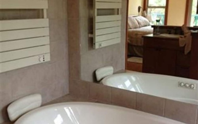 Volcano Big Tree Sanctuary