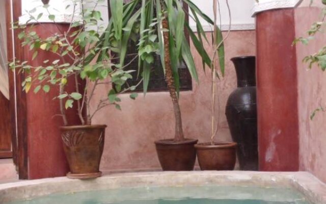 Ryad Dar Ganou