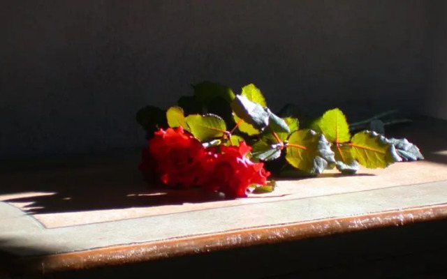 Residenza Il Poggiolo