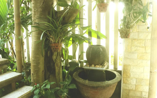 The Natural Bungalow