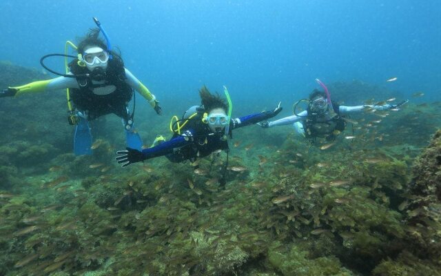 Shirasaki Kaiyo Kouen