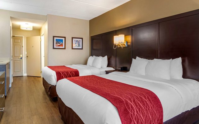 Comfort Inn & Suites near Six Flags