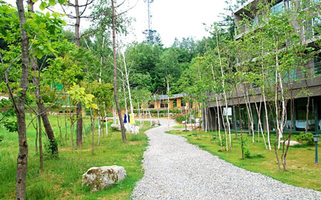 Pyeongchang The Sky Forest