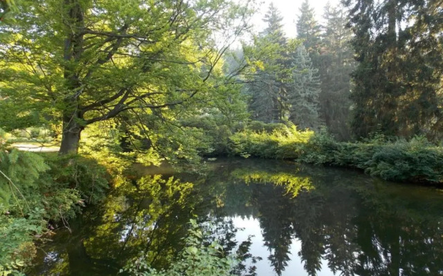 Stylish Apartment in Sohl With Terrace