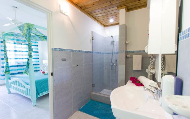 Soficu Eden Dominicus