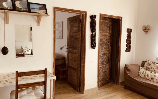 Domus Rio Papagaio