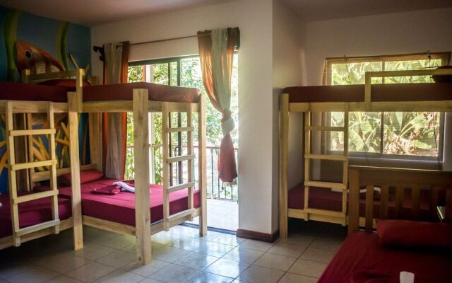Hostel Dos Monos